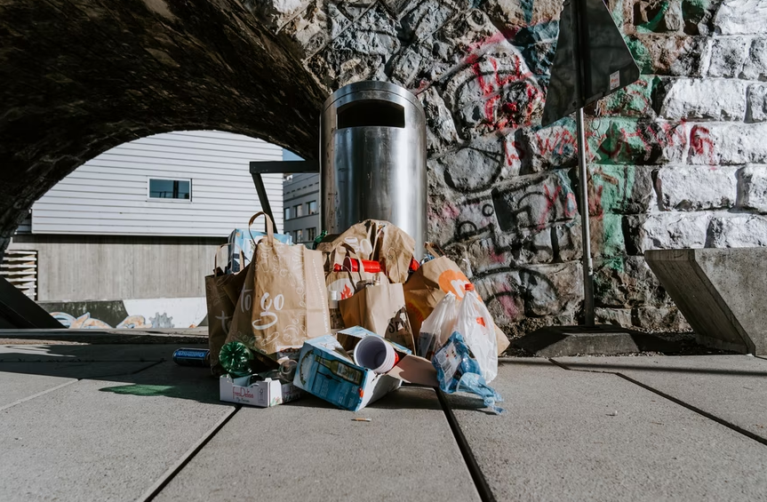 professional rubbish removal service